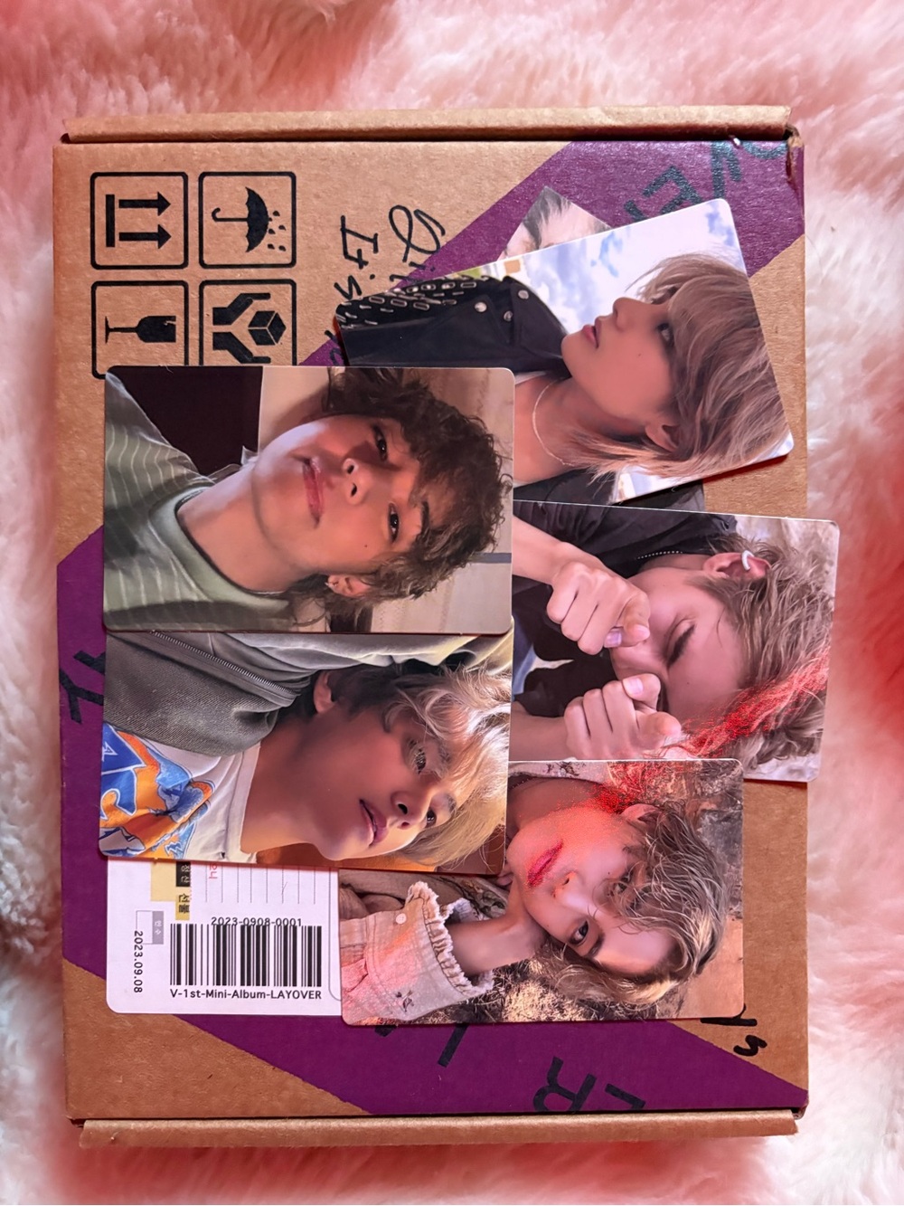 LAYOVER - Taehyung (All Inclusions)